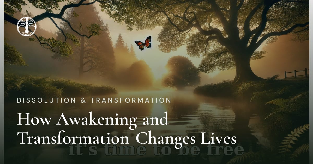 How Awakening and Transformation Changes Lives | Zen Jungle Retreat